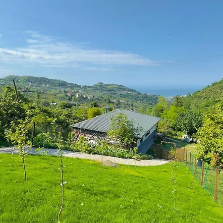 別荘 Blacksea Dream House