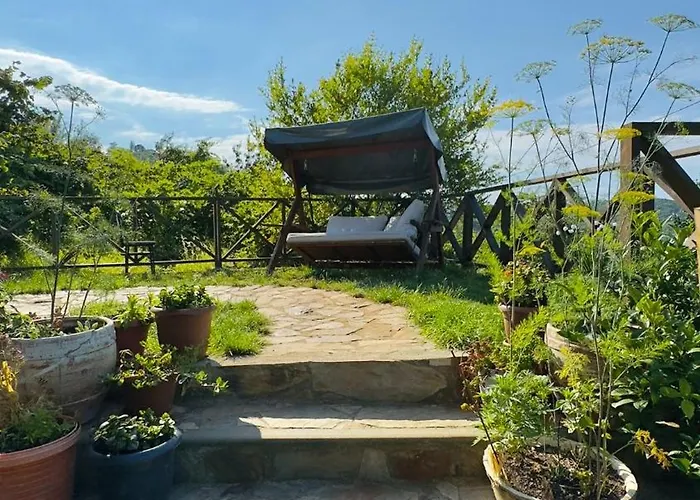 Blacksea Dream House Nyaraló *